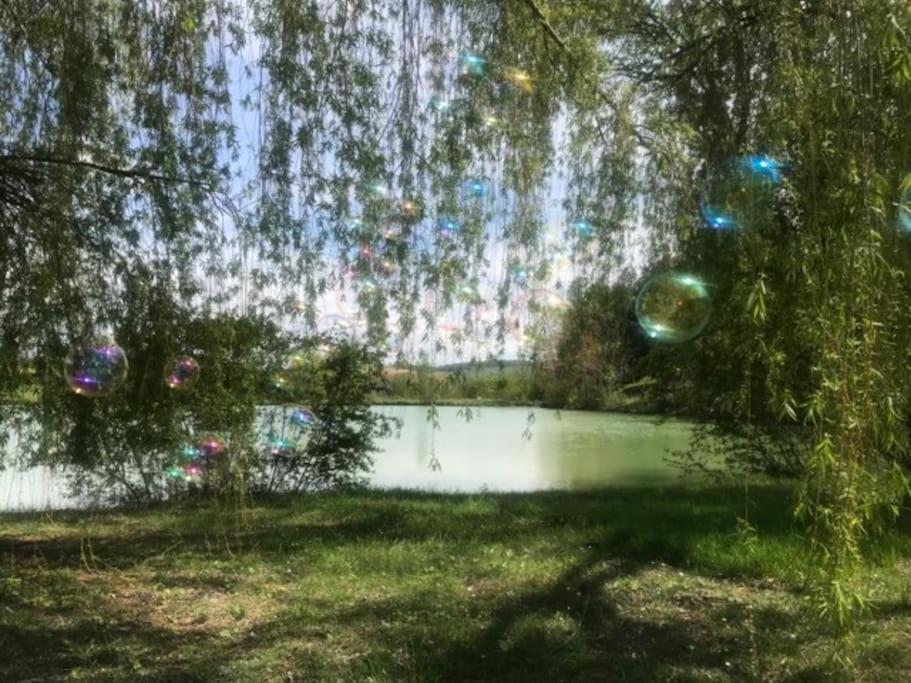 Chalet Au Milieu De La Foret Avec Lac A Proximite Layrac Ngoại thất bức ảnh